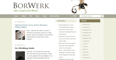 Portfolio - Borwerk.de