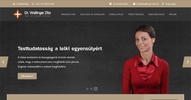Portfolio - Wallinger Zita